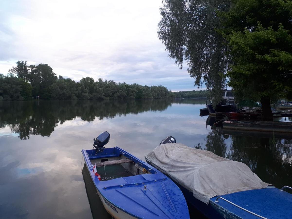 Udicarski Dom Usce Aljmaš エクステリア 写真